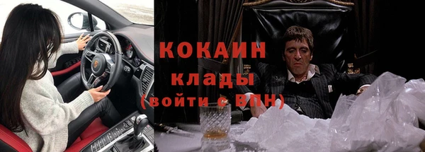 сатива Верея