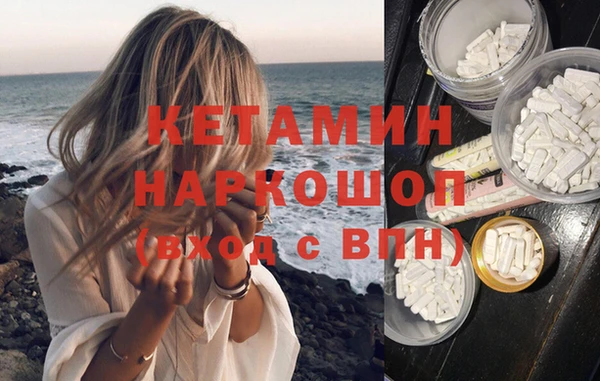 сатива Верея