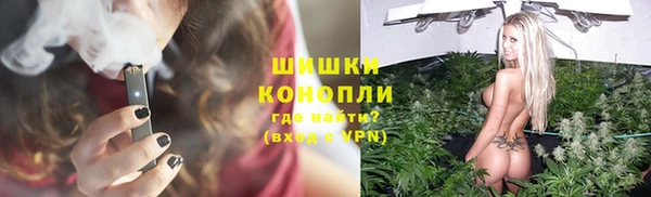 тгк Бородино