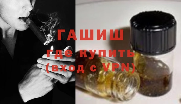 сатива Верея