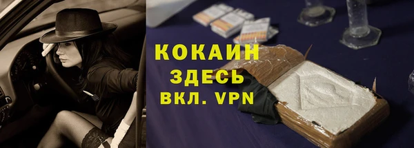 сатива Верея