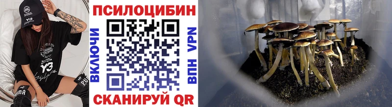 Купить  Красновишерск  Псилоцибиновые грибы Magic Shrooms 