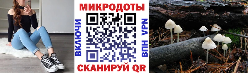 Галлюциногенные грибы мухоморы Красновишерск