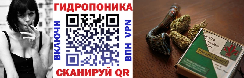 Купить где  Красновишерск  Конопля ГИДРОПОН 